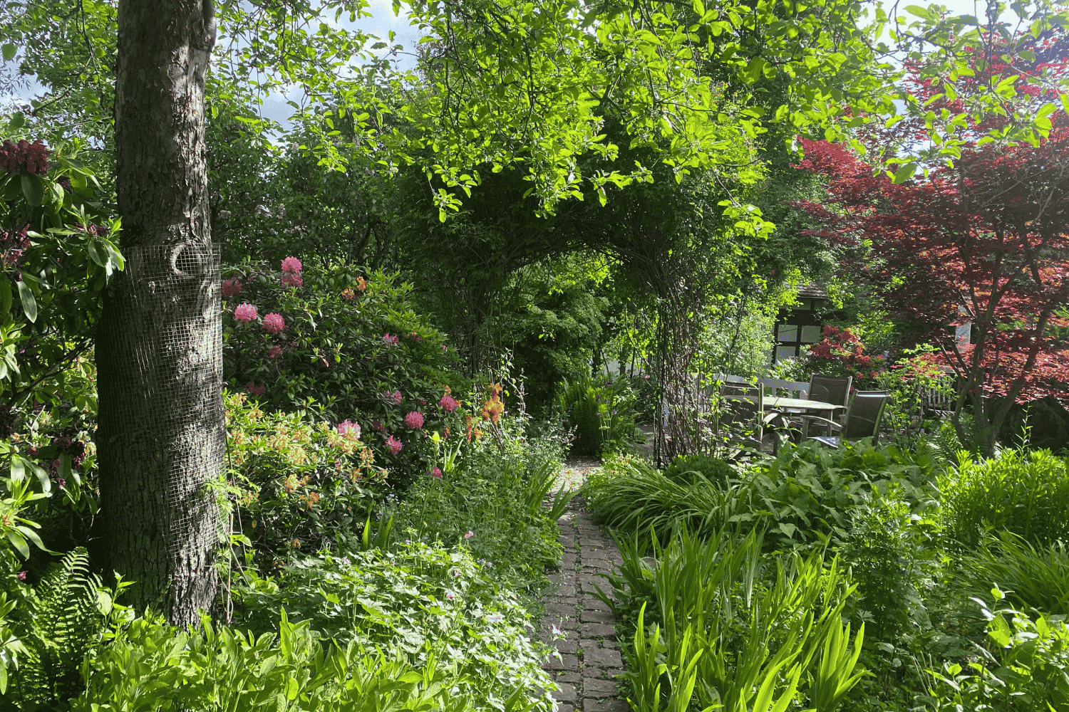 Mehr über den Artikel erfahren Pflegeleichter Garten: So klappt es wirklich