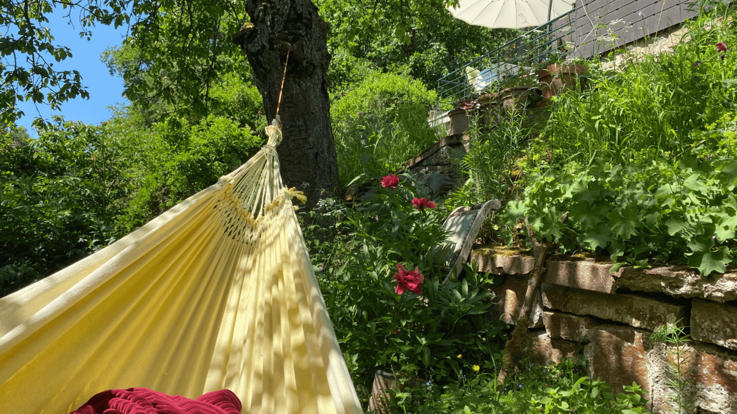 Mehr über den Artikel erfahren Meine 3 wichtigsten Werte: Freiheit, Schönheit und Gemeinschaft