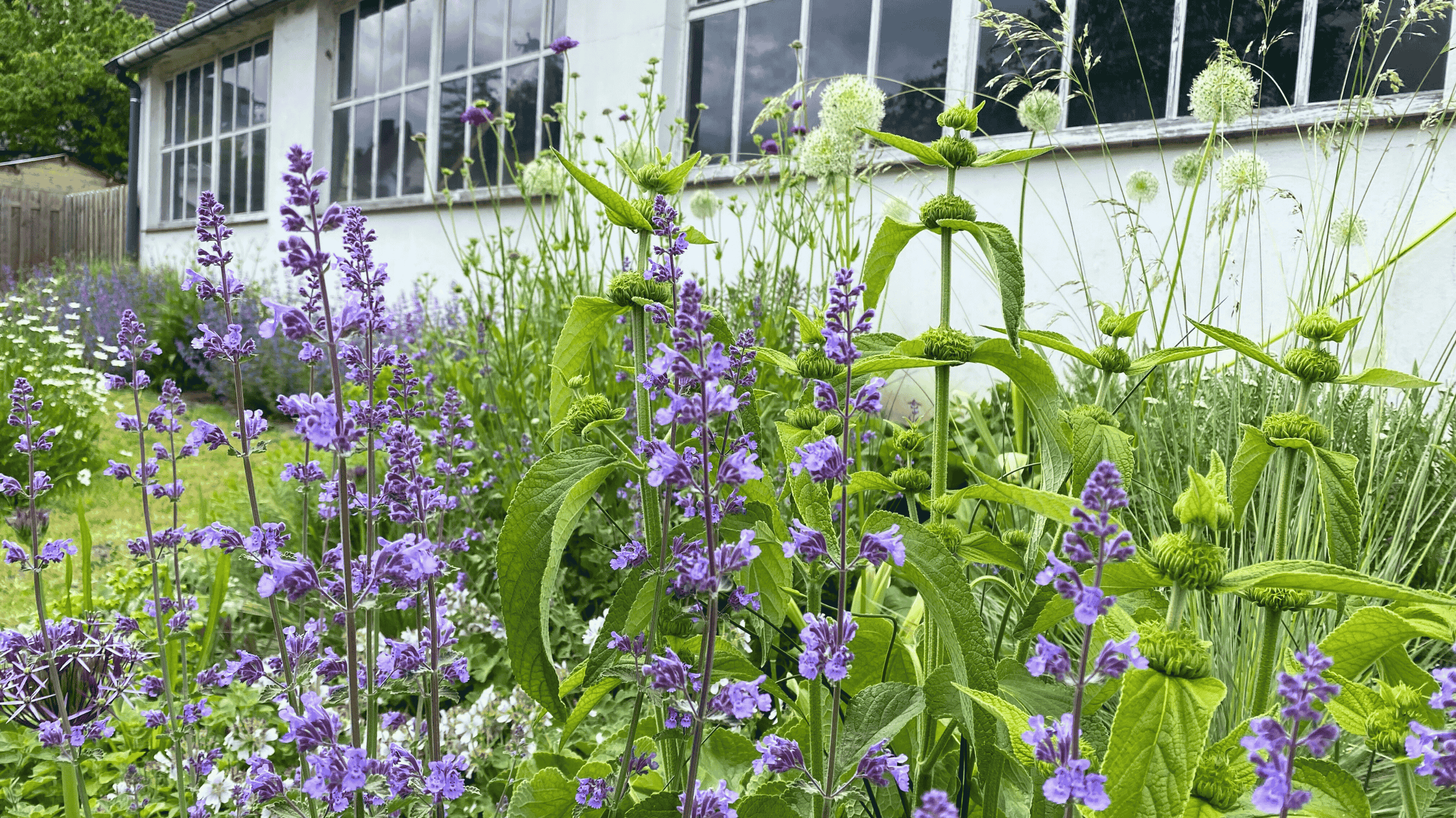 Mehr über den Artikel erfahren Nachhaltige Gestaltung: Dein Sommergarten wird zum SDG Held