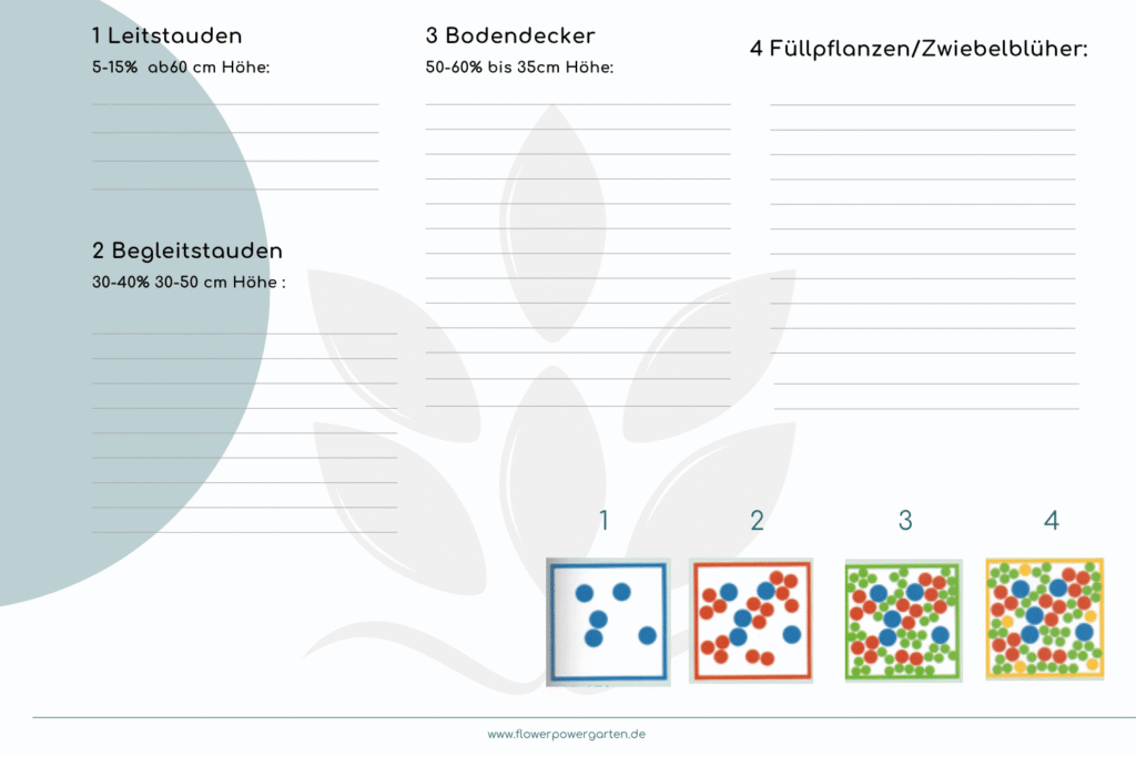 Infografik mit Pflanzverteilung im Staudenbeet: Leitstauden (5–15 %), Begleitstauden (30–40 %), Bodendecker (50–60 %) und Füllpflanzen/Zwiebelblüher. Darunter vier schematische Raster, die den Aufbau des Beetes verdeutlichen.