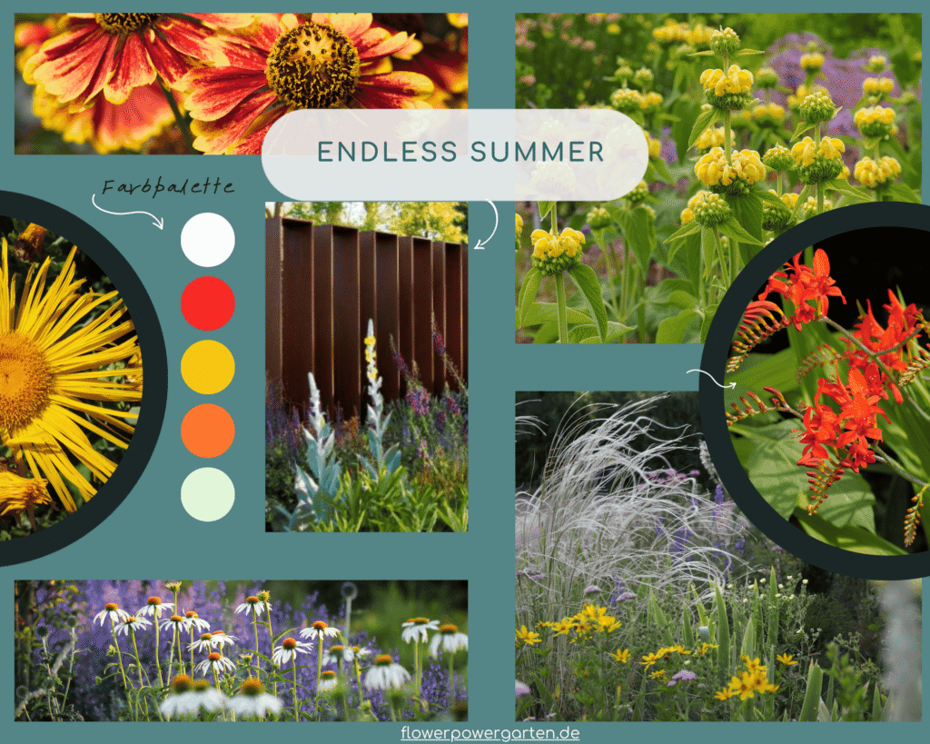 Moodboard „Endless Summer“ mit Stauden in warmen Gelb-, Orange- und Rottönen, kombiniert mit filigranen Gräsern und Blütenpflanzen wie Sonnenhut, Goldquendel und Fackellilie – Inspiration für sommerliche Gartenstimmung.