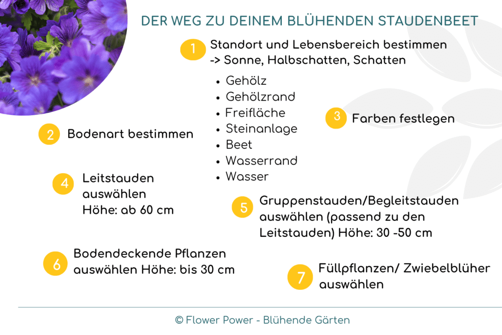 Infografik mit sieben Schritten zur Staudenbeet-Planung: Standort bestimmen, Boden prüfen, Farben wählen, Leitstauden, Gruppenstauden, Bodendecker und Füllpflanzen auswählen.