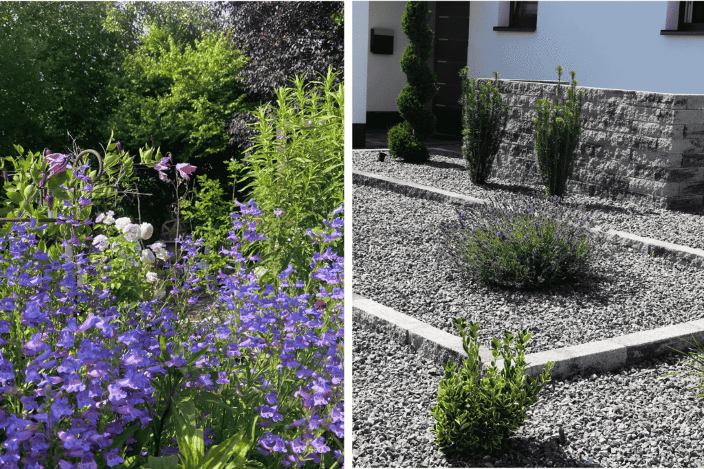 Zwei Gartenwelten im Vergleich: links ein lebendiger, naturnaher Staudengarten mit violettblauen Blüten und dichter Vegetation, rechts ein minimalistischer Schottergarten mit wenigen, streng angeordneten Gehölzen vor einer Hauswand.