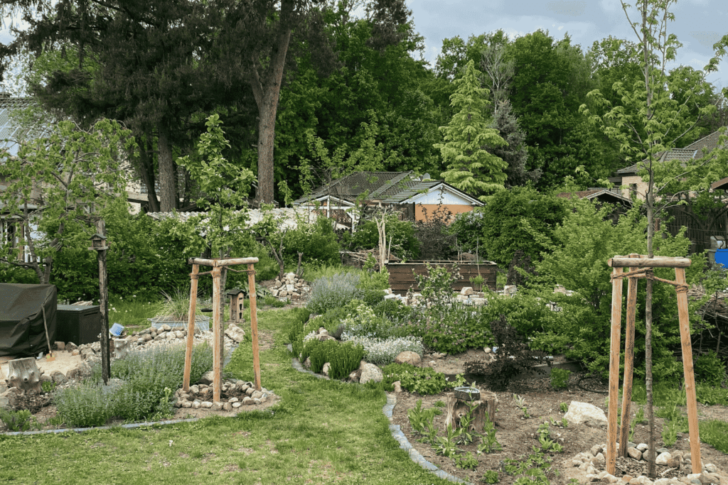 Gesamtansicht des umgestalteten naturnahen Gartens mit Staudenbeeten und frisch gepflanzten Bäumen