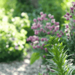 Üppig blühende Stauden in einem naturnahen GartenReich von Flower Power – ökologische Gartengestaltung, die Persönlichkeit zeigt.