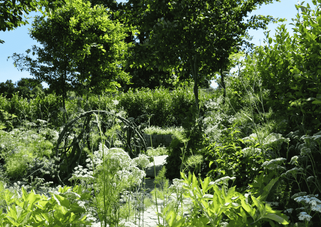 Naturnaher Garten mit weißen Wildblumen, Gehölzen und einem Weidenbogen im Sommer