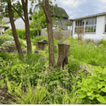 Nouvabrik - Blühendes Staudenbeet im Halbschatten