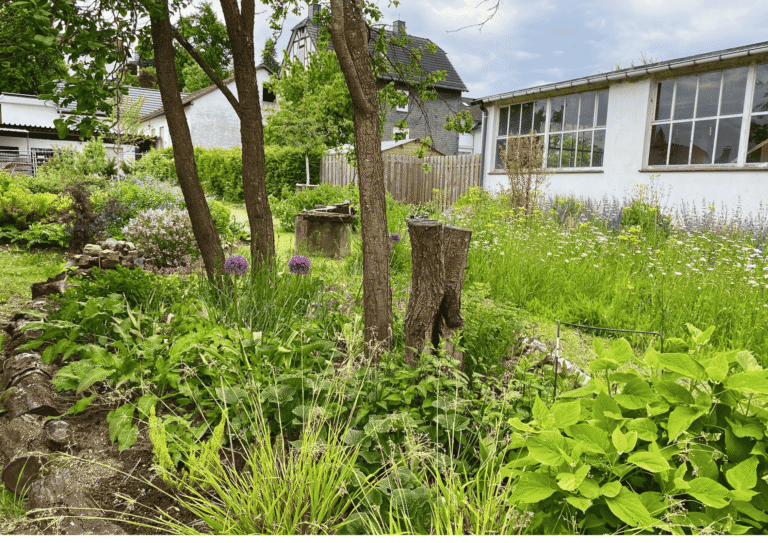 Nouvabrik - Blühendes Staudenbeet im Halbschatten