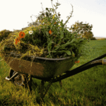 Schubkarre mit Gartenpflanzen auf einer Wiese als Titelbild für ein Garten-Glossar