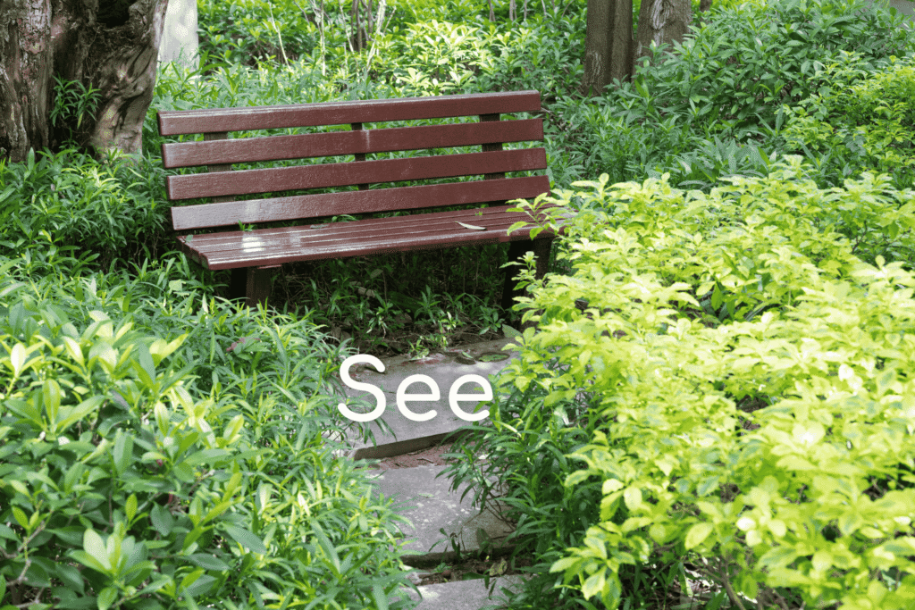 Eine hölzerne Gartenbank, die eng von dichtem, grünem Gebüsch und Bodendeckern umschlossen ist.