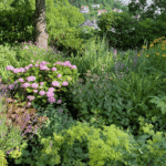 Ein blühendes Paradies mit harmonischer Staudenpflanzung, das zeigt, wie aus Garten-Mythen echte Lebendigkeit wird.