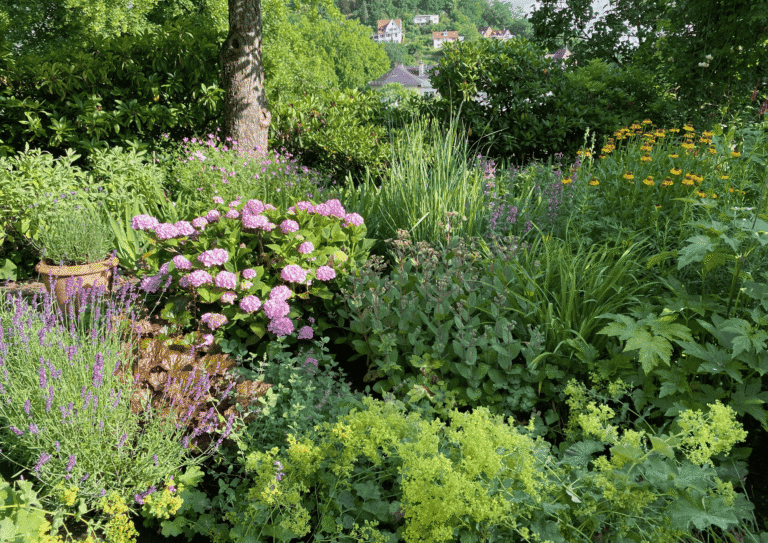 Ein blühendes Paradies mit harmonischer Staudenpflanzung, das zeigt, wie aus Garten-Mythen echte Lebendigkeit wird.