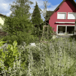 Wohnhaus von Manuela mit blühenden Staudenbeeten im Bildvordergrund