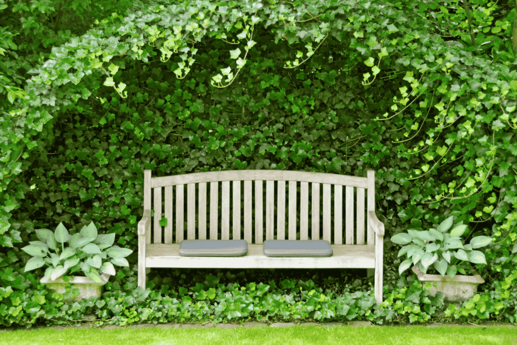 Gartenbank vor dichter Efeuwand – geschützter Rückzugsort im Garten als Archetyp Höhle
