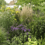 Buntes Staudenbeet im Herbst mit Astern, Sonnenblumen und Reitgras