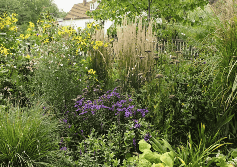 Buntes Staudenbeet im Herbst mit Astern, Sonnenblumen und Reitgras