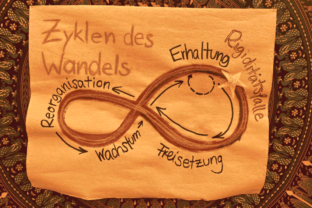 Handgezeichnetes Schaubild des Zyklus des Wandels mit den Phasen Rigiditätsfalle, Freisetzung, Wachstum, Reorganisation und Erhaltung