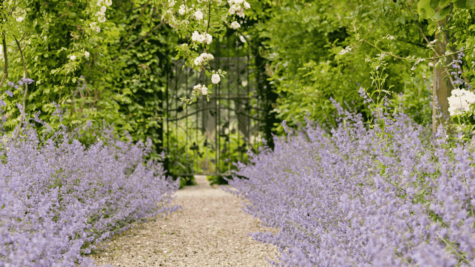 Mehr über den Artikel erfahren Blickbezüge im Garten: So schaffst du Weite und Privatsphäre