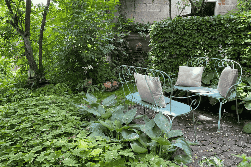 Gemütlicher Sitzplatz im Garten, der durch Pflanzen vor Blicken geschützt ist