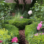 Bauerngarten mit Buchs-Einfassung. Ein gestalteter Lieblingsort.