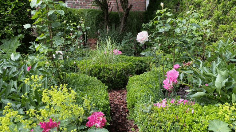 Bauerngarten mit Buchs-Einfassung. Ein gestalteter Lieblingsort.