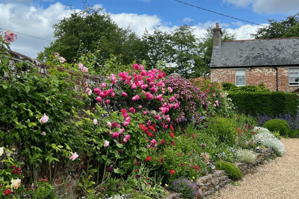 Üppig bepflanzter Cottagegarten mit rosa Rosen entlang einer Natursteinmauer, Staudenbeeten und Kiesweg vor einem alten Backsteinhaus.