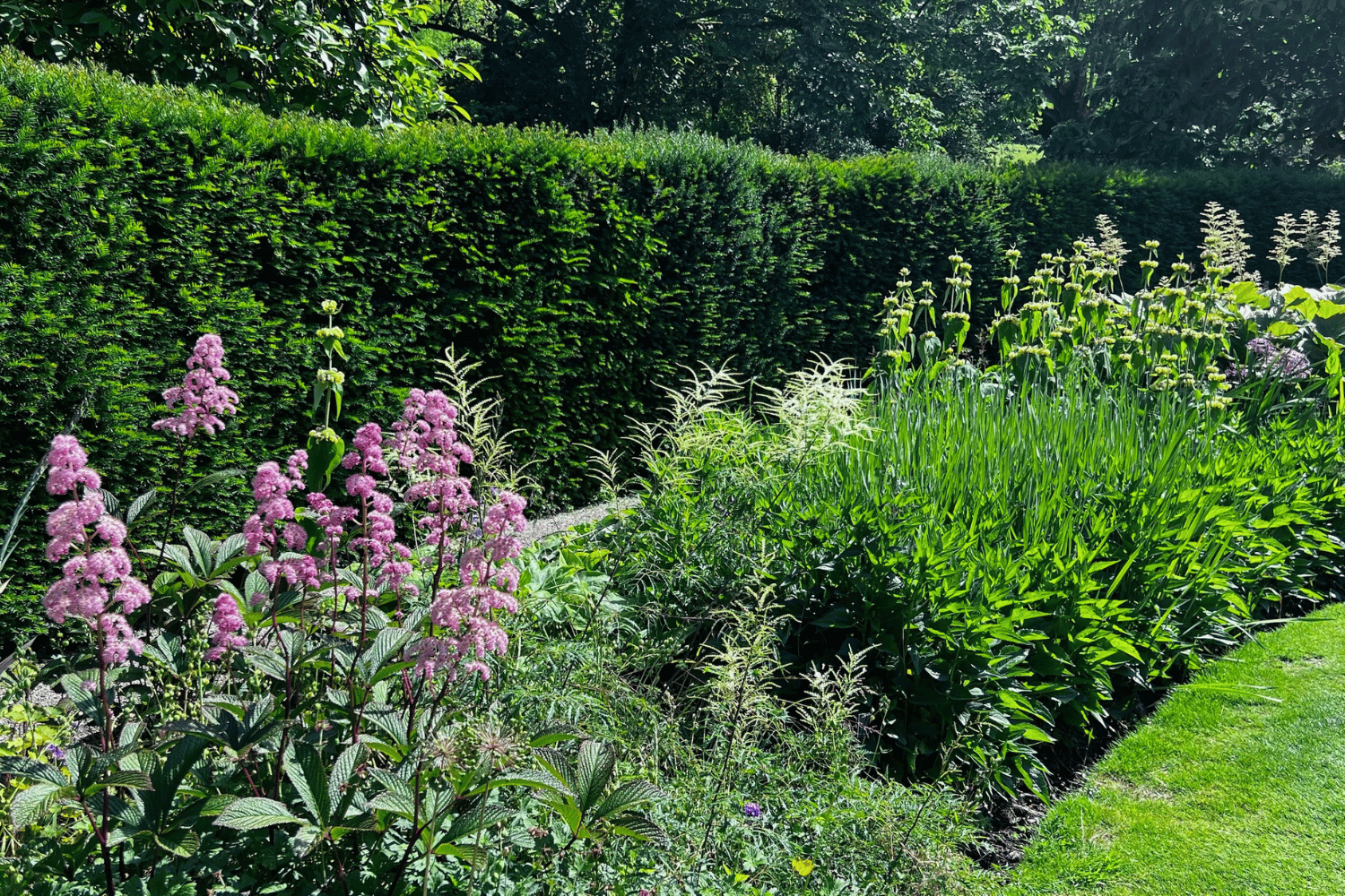 Mehr über den Artikel erfahren Genius Loci: Was macht deinen Garten unverwechselbar?