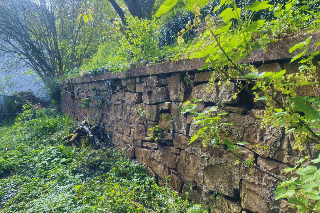 Alte Sandsteinmauer mit Nischen als Lebensraum für Vögel
