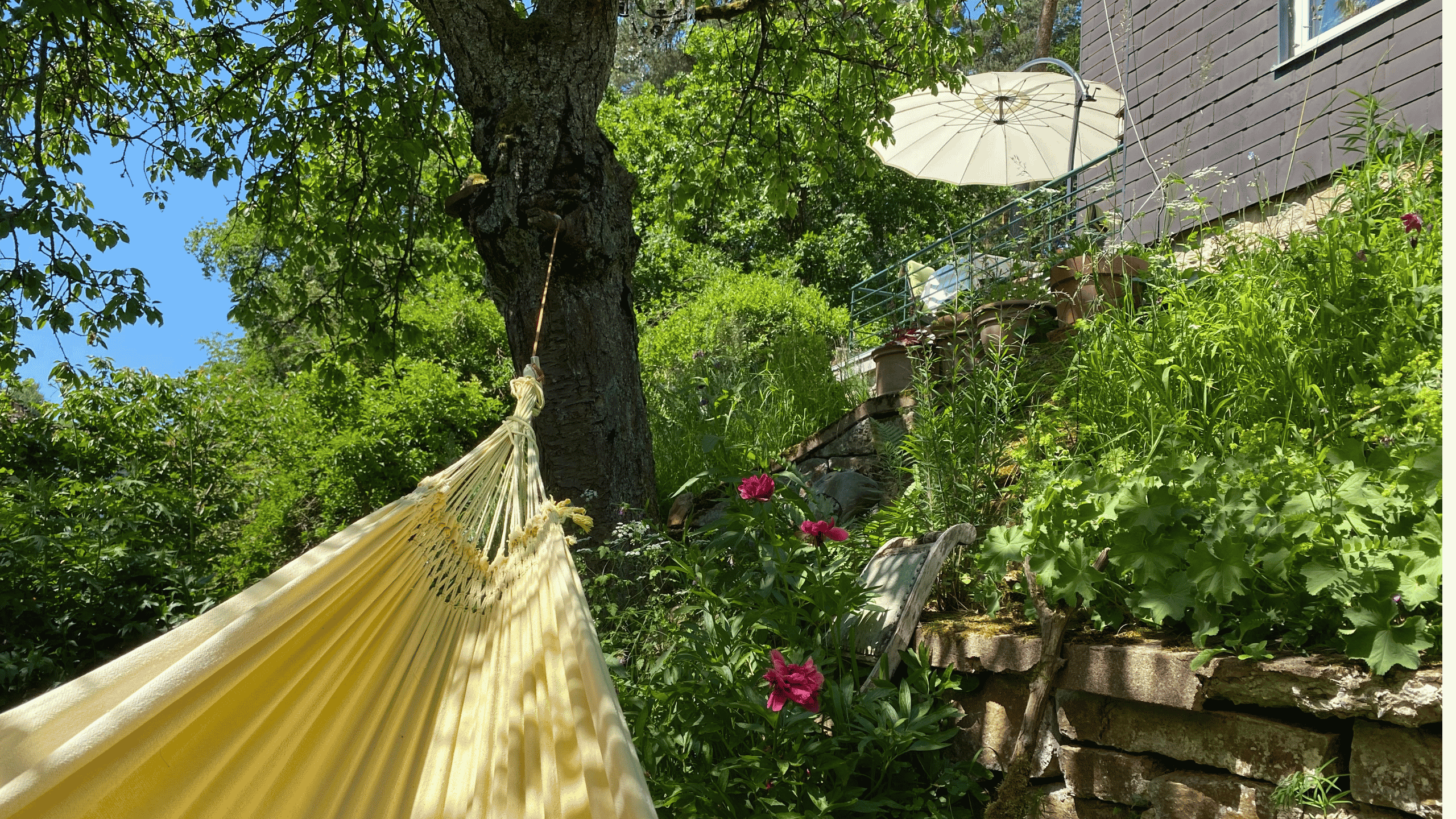 Vom Queckegarten zum Lieblingsort: Mein Garten im Bienenweg