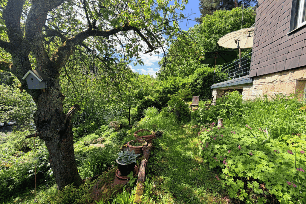 Staudenbeet mit Gräsern am Haus, mein Morgensitzplatz im naturnahen Garten