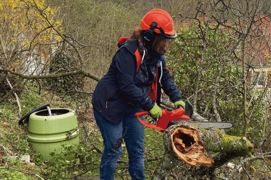 Gärtnerin mit Helm und Kettensäge kürzt einen alten Obstbaumstamm
