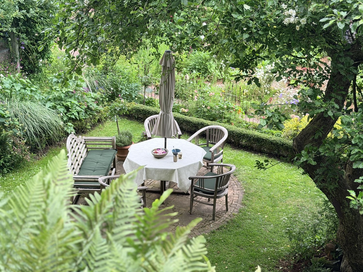 Sitzgruppe mit Sonnenschirm im Schatten eines Obstbaums, eingefasst von niedriger Hecke