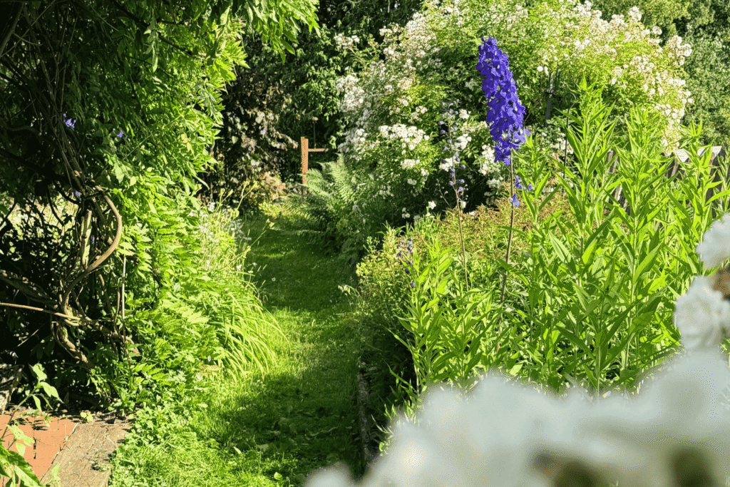 Ein Wandelpfad lädt dich ein, deinen Garten Station für Station mit allen Sinnen zu gehen.