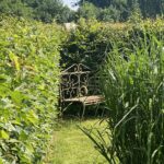 Schmiedeeiserne Bank in einer Nische zwischen hohen Gräsern und Hecke