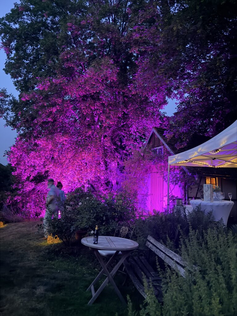 Garten bei Nacht: Fest im Garten von Heinz und Kim mit Lichtinszenierung