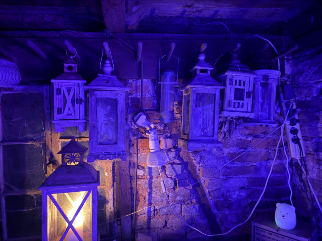 Garten bei Nacht: Fest im Garten von Heinz und Kim mit Lichtinszenierung