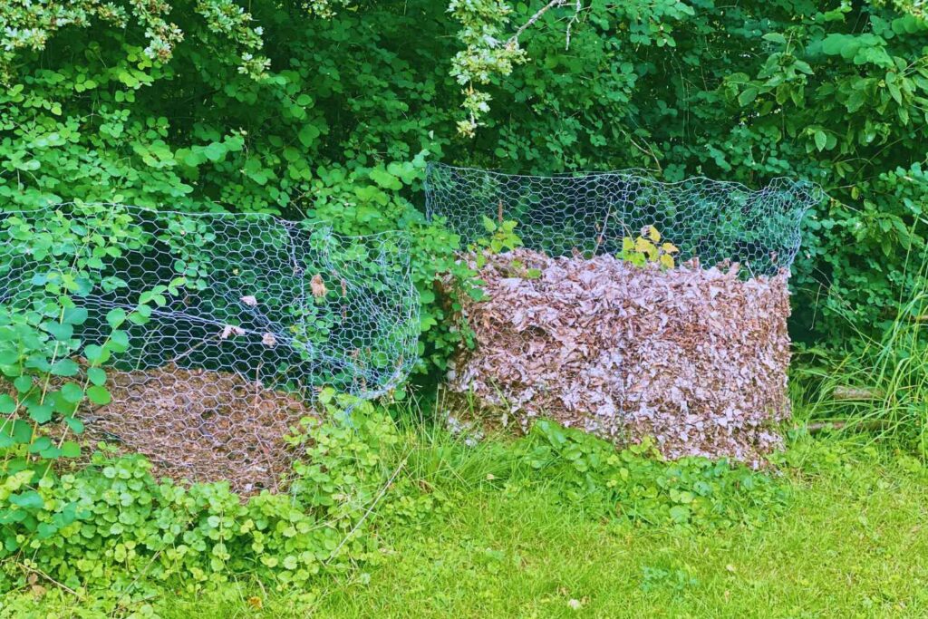 Laubbehälter aus Hasendraht, gefüllt mit Herbstlaub, vor Sträuchern