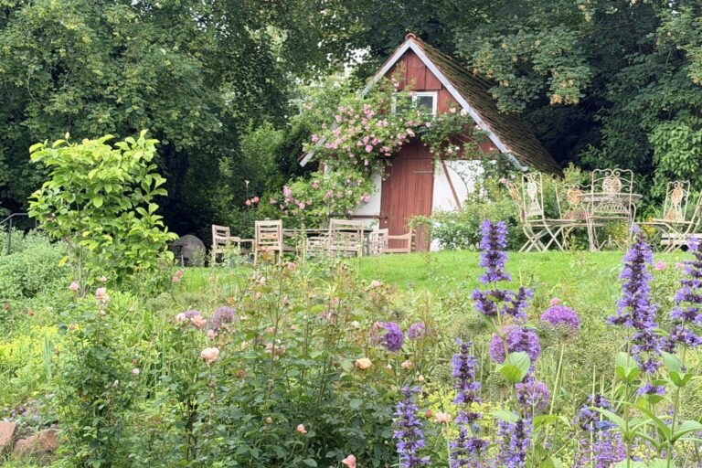 Rotes Gartenhaus mit Kletterrose, davor Rosen und Zierlauch (Allium), auf der Wiese Tische und Stühle