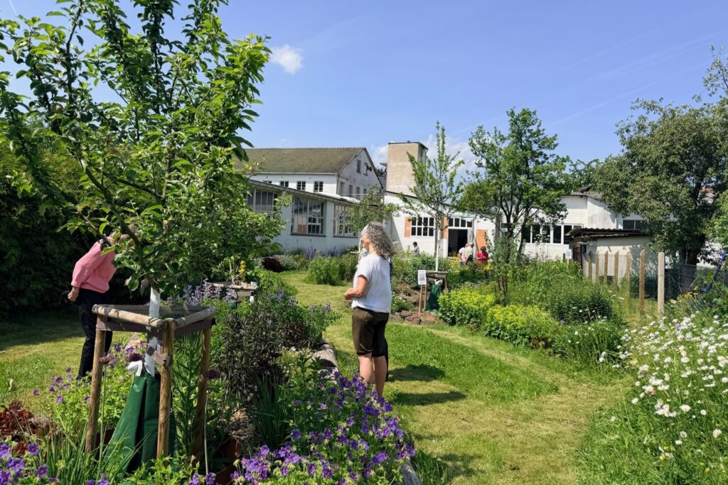 Besucher:innen im Staudengarten vor der ehemaligen Fabrikhalle der Nouvabrik, vorn Storchschnabel (Geranium)