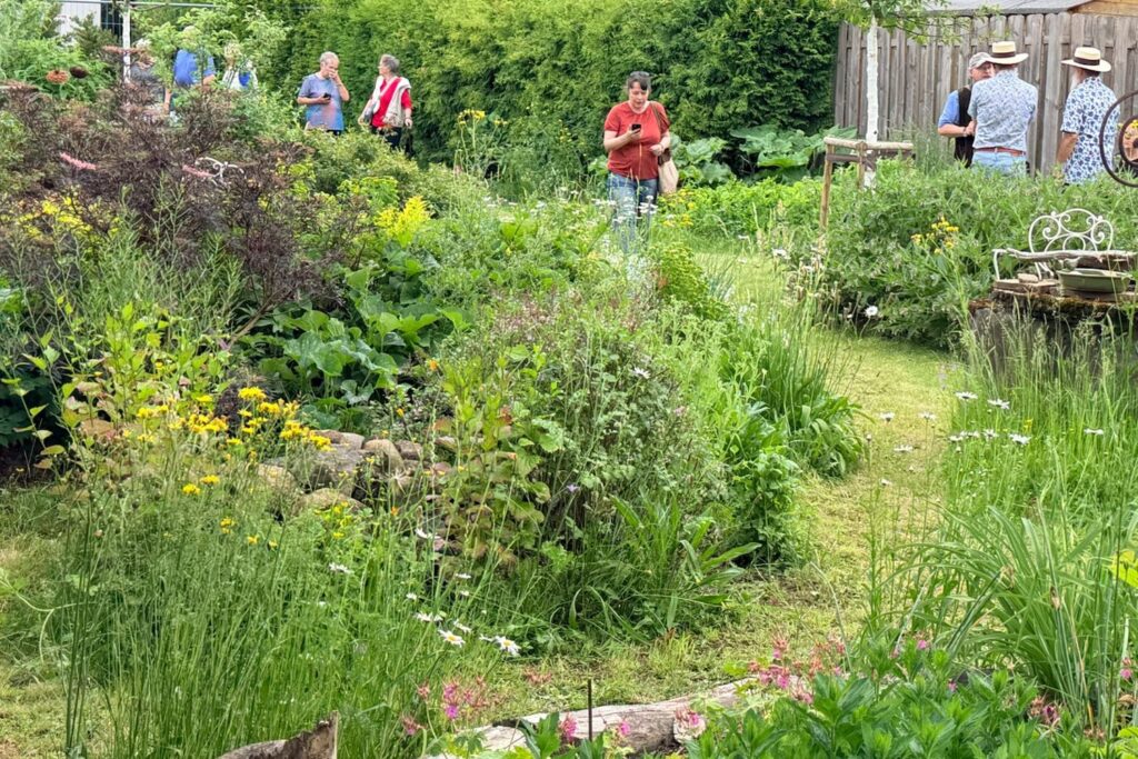 Besucher:innen schlendern bei der Offenen Gartenpforte über einen Rasenweg durch den naturnahen Garten der Nouvabrik